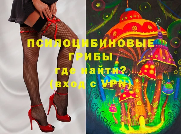 Альфа ПВП Кукмор